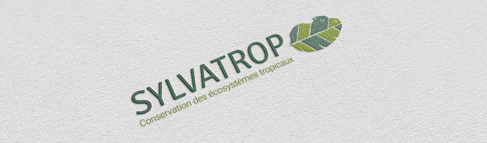 présentation projet identité visuelle Sylvatrop