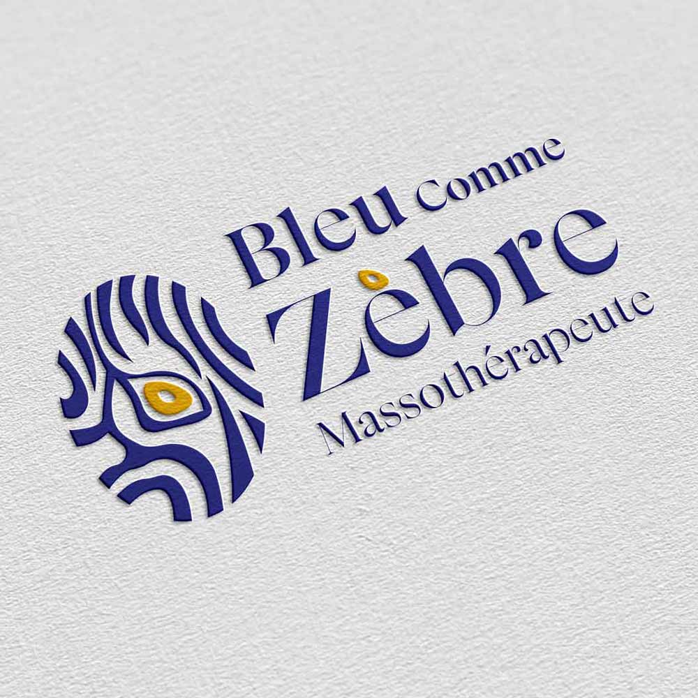 Présentation projet Bleu Comme Zèbre