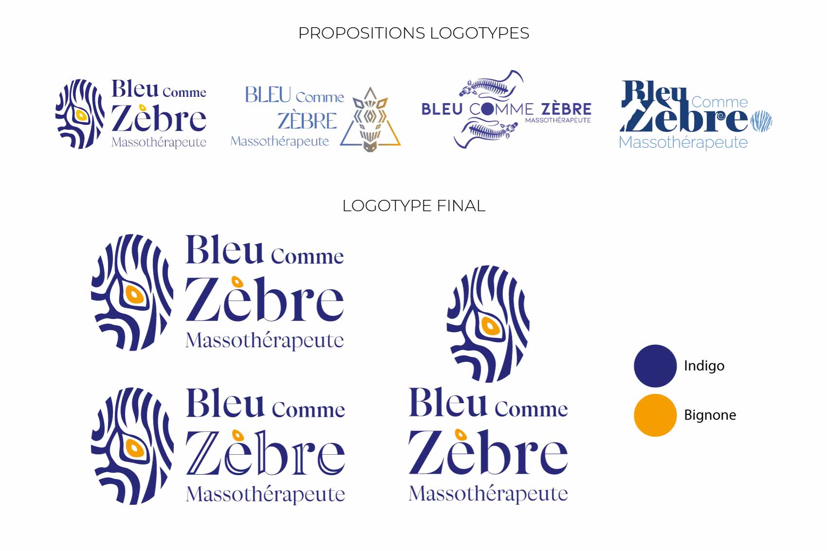 Présentation des pistes et du logo retenu